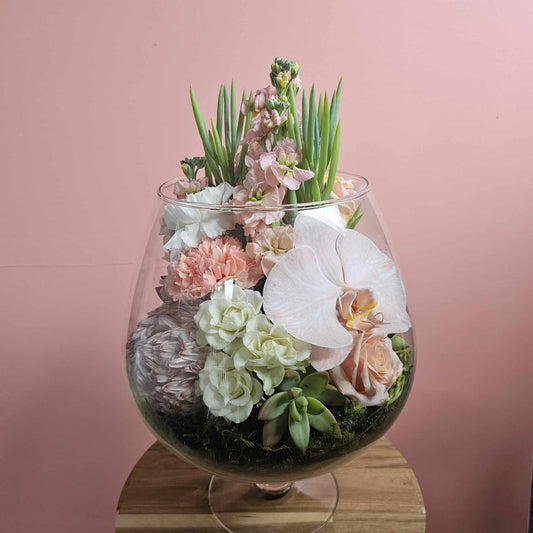 Terrarium Blooms