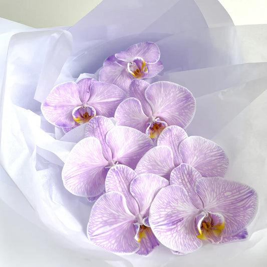 Phally - Phalaenopsis Orchid Stem